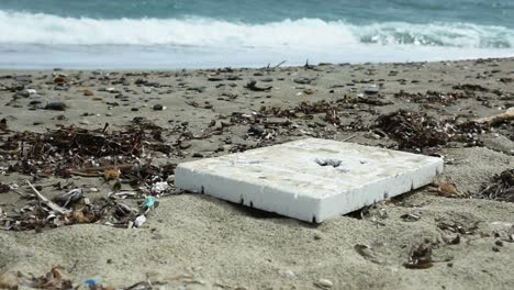 gran trozo de espuma de poliestireno en la playa con olas en el fondo