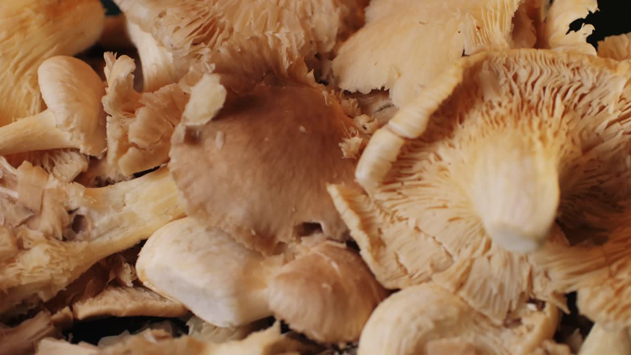 la mano de la mujer sostiene una canasta de setas de ostras pulmonares. un primer plano de la comida de los agricultores del supermercado.