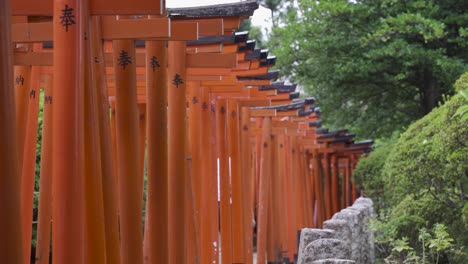 múltiples puertas torii japonesas rojas apretadas con gente caminando debajo de ellas