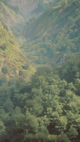 magnificent valley landscape with lush greenery during golden hour glow