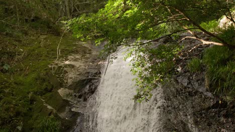 hermosas cascadas escondidas en el bosque