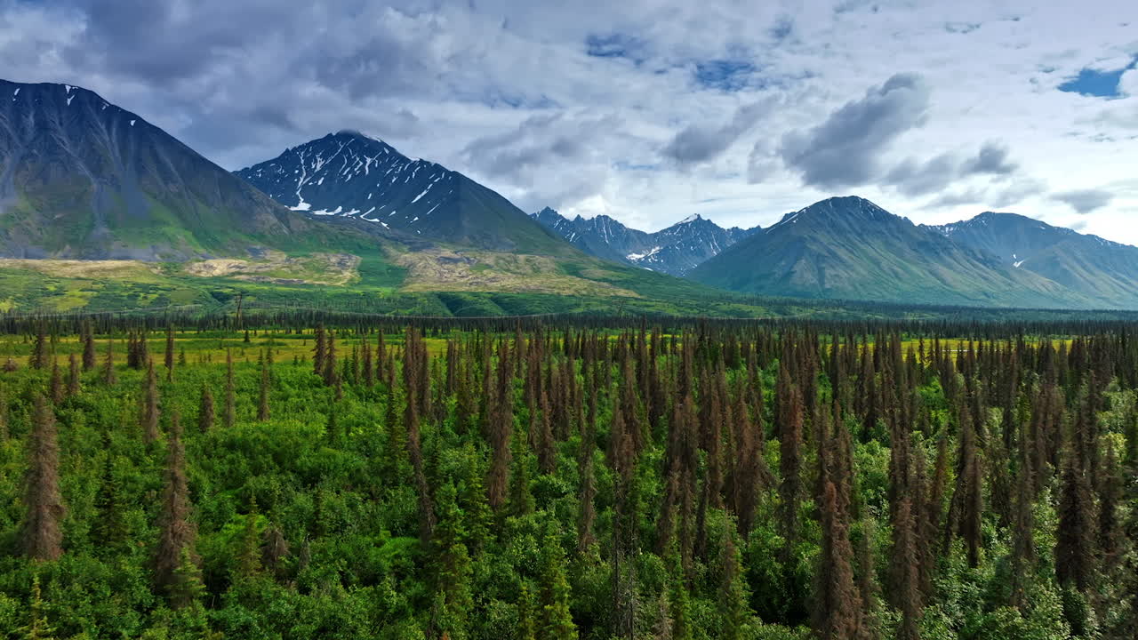 Green wood of long thin pines in the vast valley. Ridged mountains against cloudy sky at backdrop. Alaska, USA