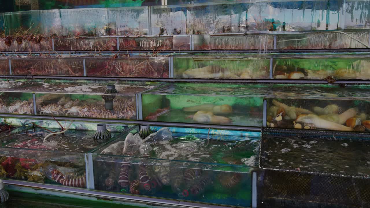 물 크에 있는 해산물