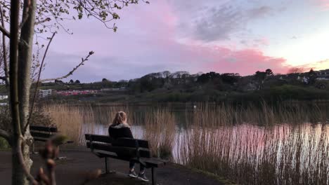 lady walks and sits on the bench on the lake shore to watch beautiful sunset - wide shot