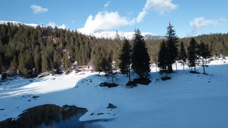 muñeca de círculo aéreo alrededor de la isla congelada del lago caumasee con árboles