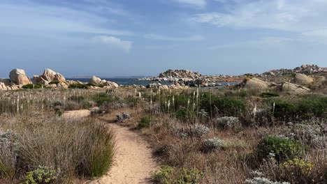 Camino-Arenoso-Que-Conduce-Al-Mar-En-La-Remota-Isla-Francesa-De-Lavezzi-Entre-Córcega-Y-Cerdeña,-Francia