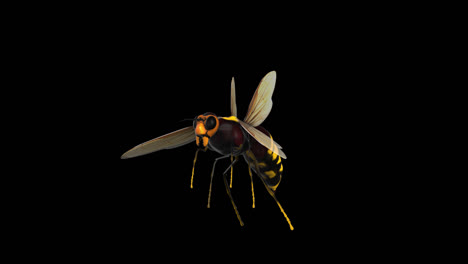 Flying Hornet