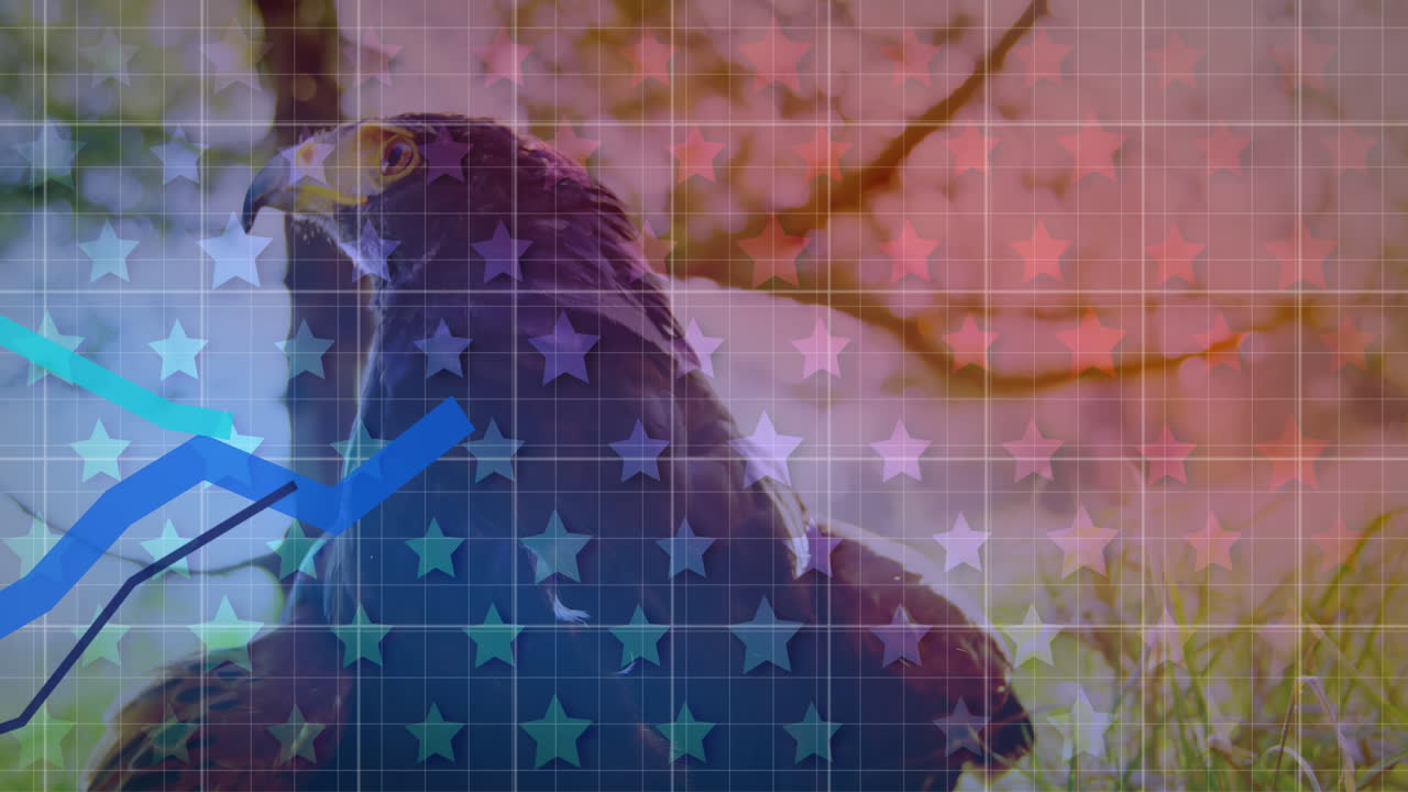 여러 개의 파란 그래프가 그리드 네트워크를 가로질러 움직이고 여러 개의 별이 독수리의 가까운 시야를 반대합니다.