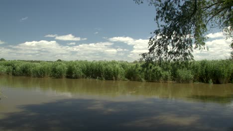 relajando una hermosa mañana de verano en la orilla del río con el cielo azul