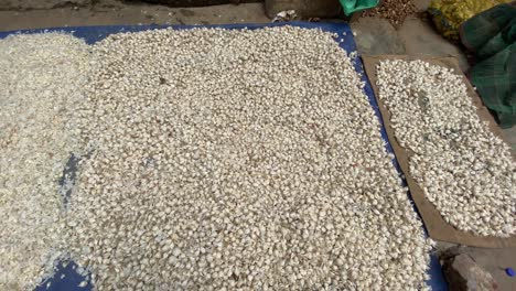 Fresh-Garlic-Laid-Out-On-Floor-At-Market-Bazaar-In-Bangladesh