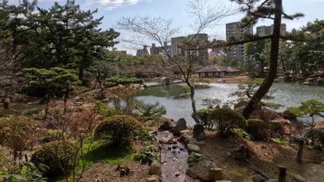 vista serena de un jardín tradicional japonés