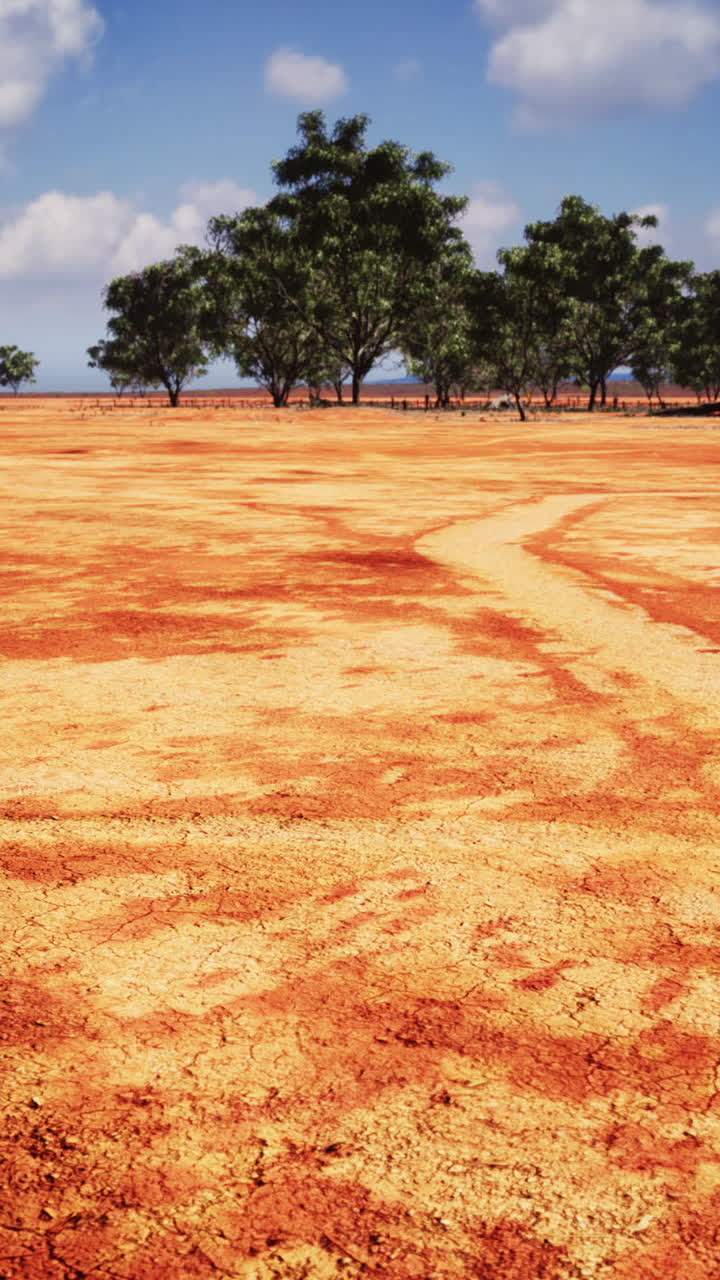 나무 와 파란 하늘 이 있는 건조 한 사막 풍경