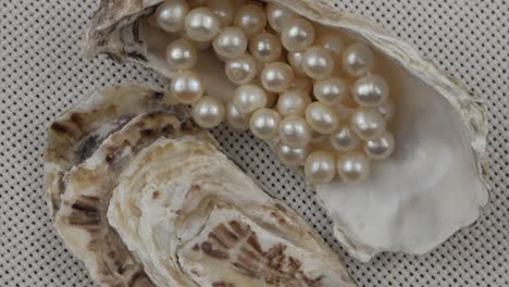 an oyster shell and pearl beads