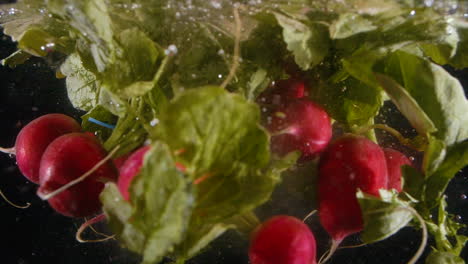 Slow-Motion-Bunch-of-Radish-Drop-in-Water-with-Bubbles-to-Clean