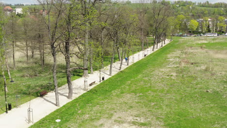 two people in sports clothes walk along a renovated walking path with old trees and seedlings on a sunny spring day