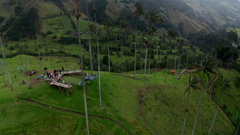 Vista-Aérea-Por-Drones-Del-Valle-De-Cocora,-Salento,-Colombia