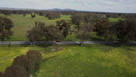 Red-car-driving-along-country-road-aerial-track-sideways