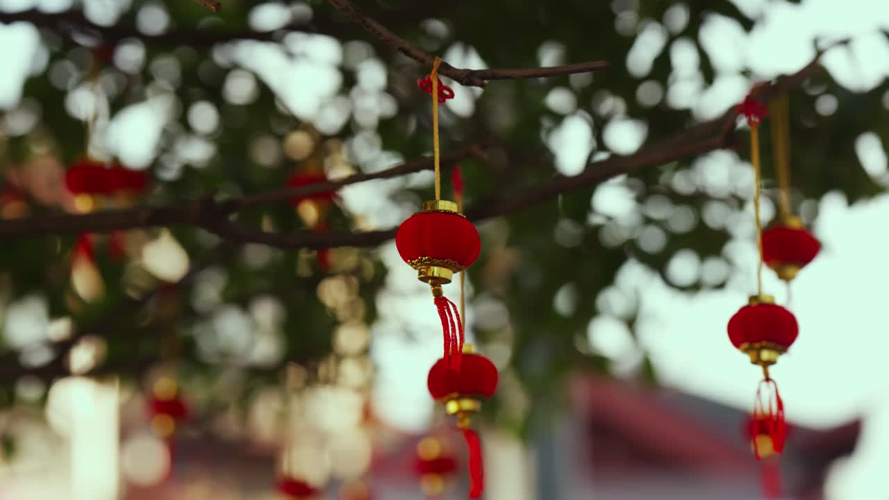 Traditional Red and Gold Decorative Lanterns on Tree