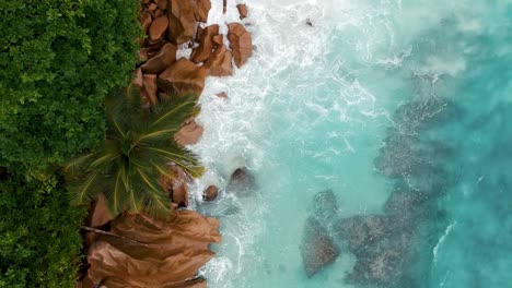 palms and rocks of seychelles