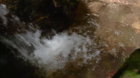 fresh water river in atlantic forest