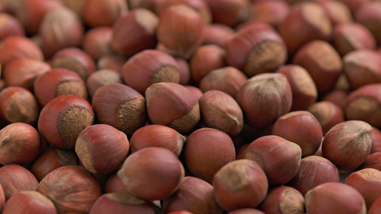 nocciole filanti a anello con lo sfondo completo del guscio in primo piano
