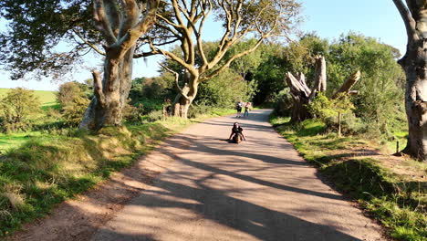 drone approaching the girl sitting on the ground in the dark hedges alley, northern ireland. famous landmark on sunny summer day.