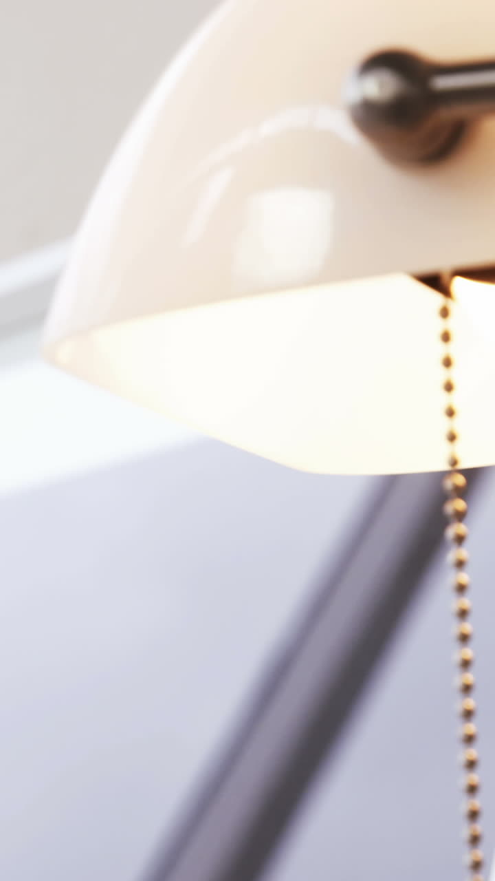 알로에 베라 식물, 탁자 램프 및 사진 프레임