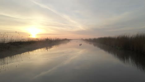 Calm-morning-in-waterland-above-creek-with-variety-of-water-birds