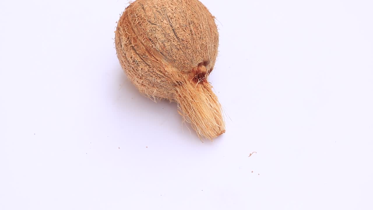 coco aislado sobre fondo blanco