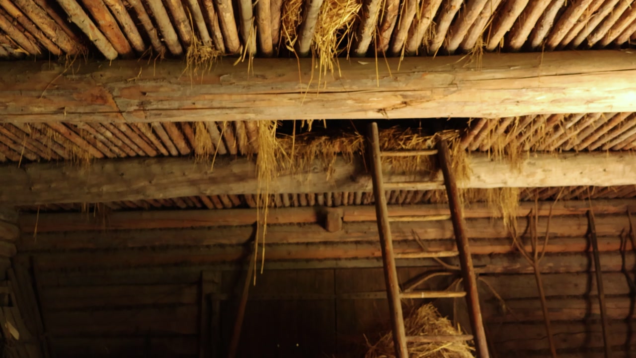 Old dried silage hay and wheat poking through an old barn or a shed ceiling, camera moves lower revealing a ladder leading up to the old farmhouse attic where hay is hanging.