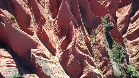 Tilt-down-aerial-shot-of-sandy-jaggered-cliffs-with-lots-of-channels-in-Las-Carcavas-near-Madrid