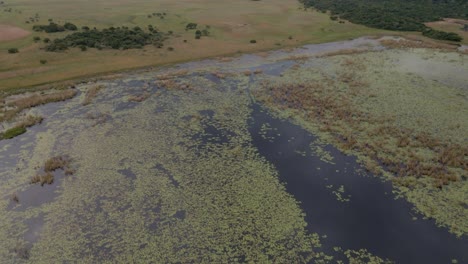 Toma-Panorámica-Aérea-De-Las-Marismas-En-Mozambique