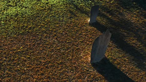 illuminated standing magnetic termite mounds at sunset in litchfield national park, northern territory, australia