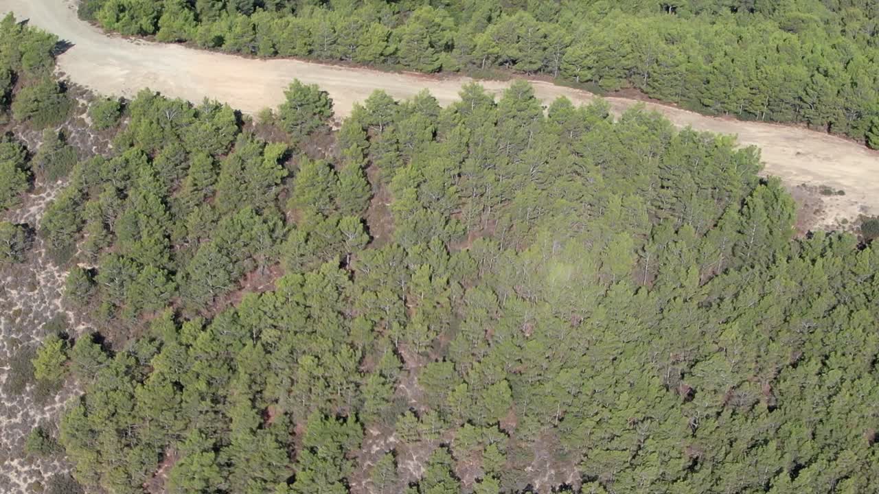 Aerial view of a forested road in Greece showcasing lush greenery