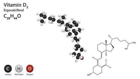 vitamin d2 (ergocalciferol). seamless loop.