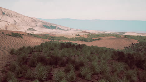 sand desert with some grass