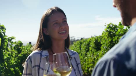 pareja feliz brindando vino en el viñedo 4k