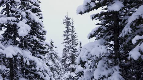 Winter-in-Banff-National-Park-Alberta,-Canada