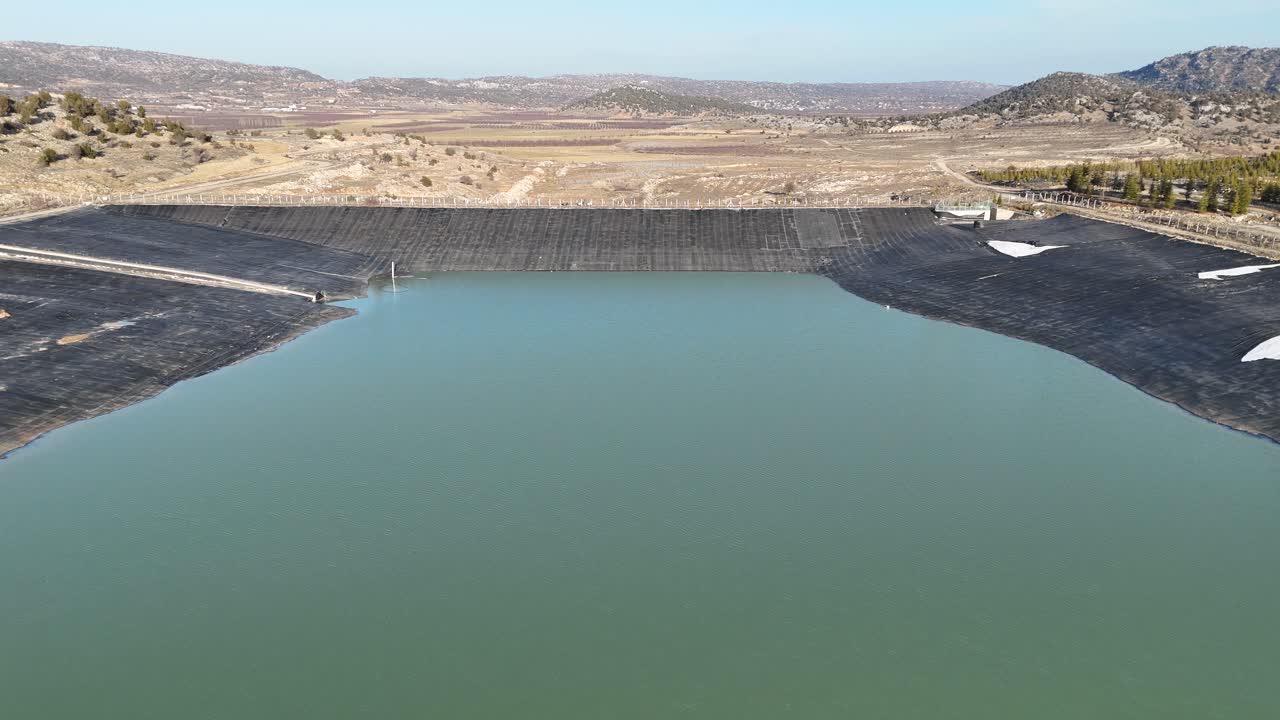 cormorán nadando en el estanque, animales acuáticos en la presa