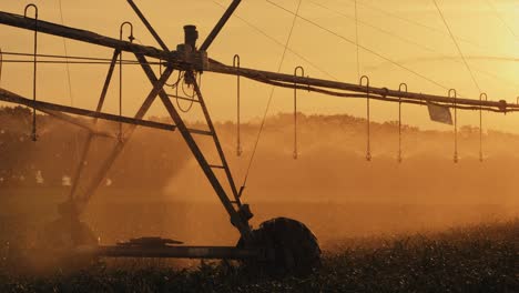 cornfield irrigation using the center pivot sprinkler system