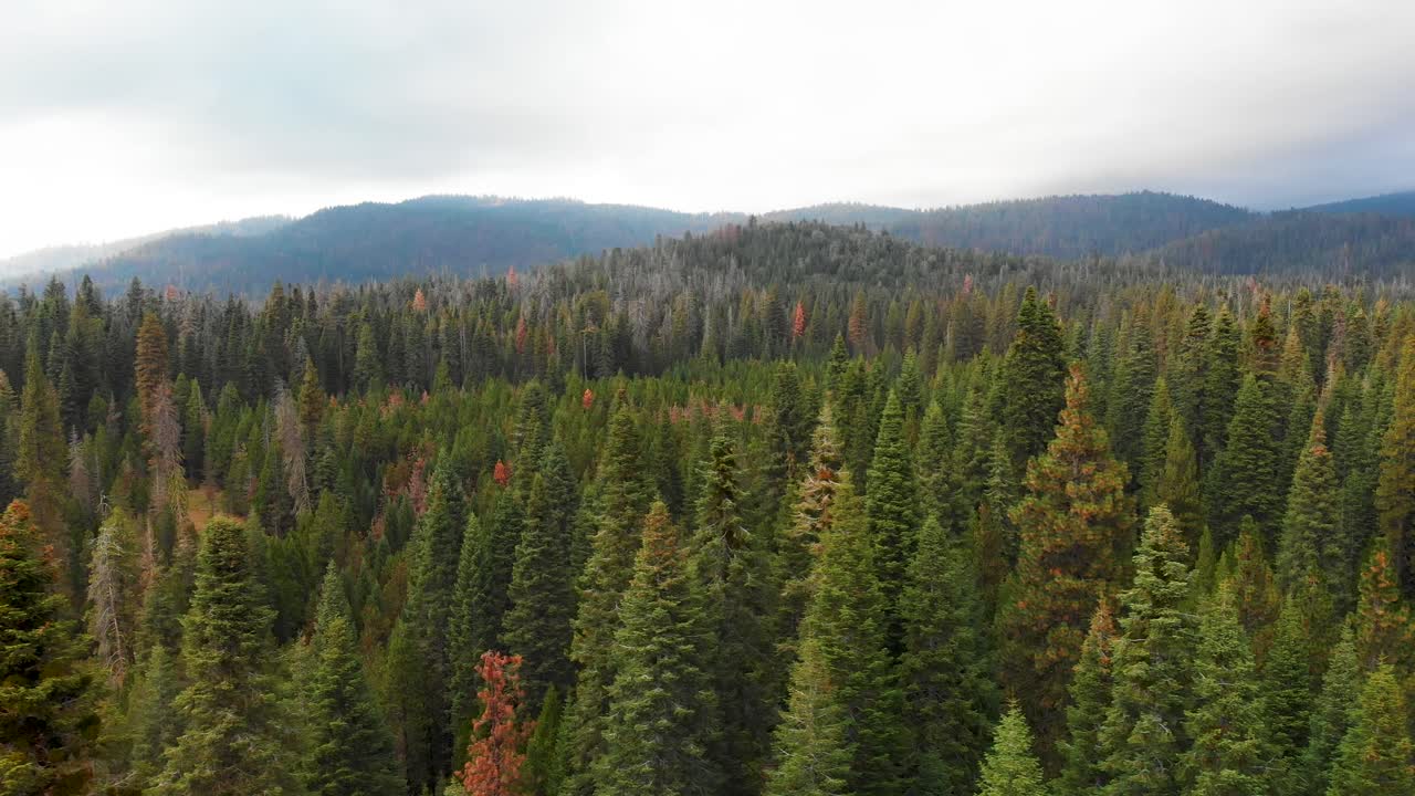 Aerial shot of storm blowing in over mountains and forest