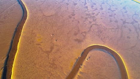 Low-Tide-Muddy-Landscape-In-Sunlight-In-Gujan-Mestras,-Arcachon-Basin-Shore,-In-Gironde,-France