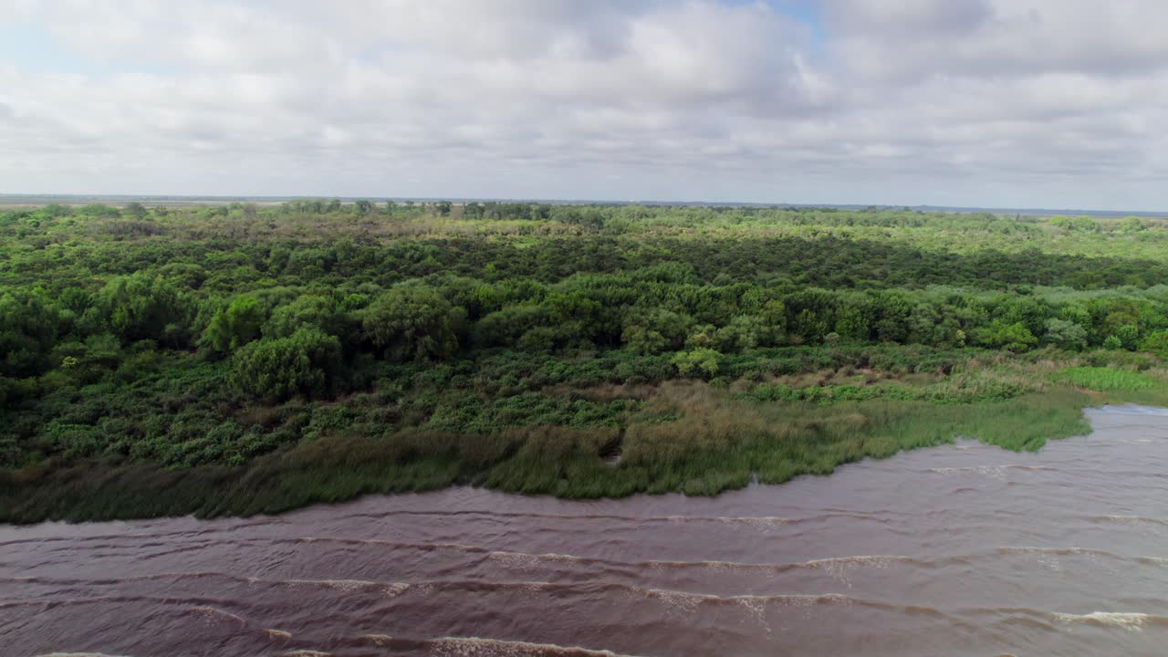 Drone shot moving backwards over the river, showcasing lush green vegetation along the riverbanks in Punta Lara, Buenos Aires.