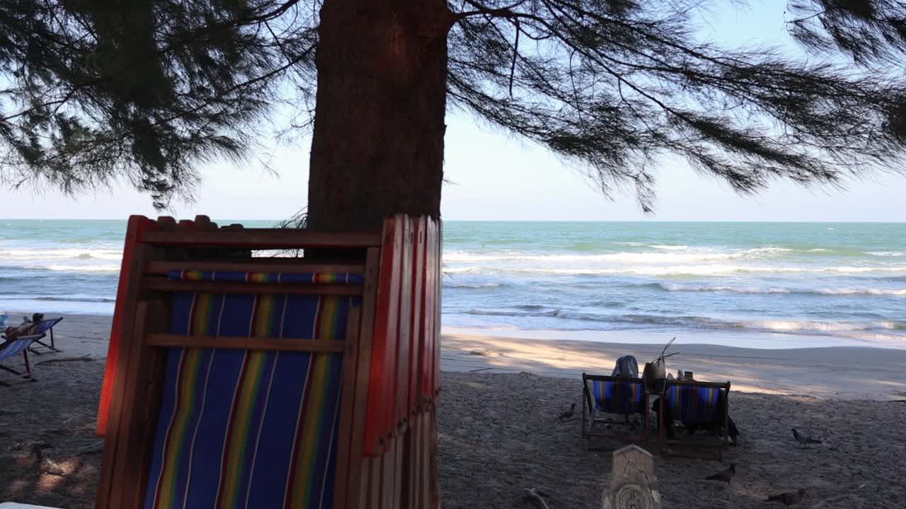 sillas apiladas junto al mar bajo un árbol