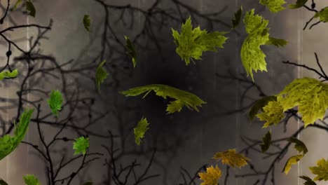 digital animation of autumn maples leaves floating over creepy tree branches against grey background