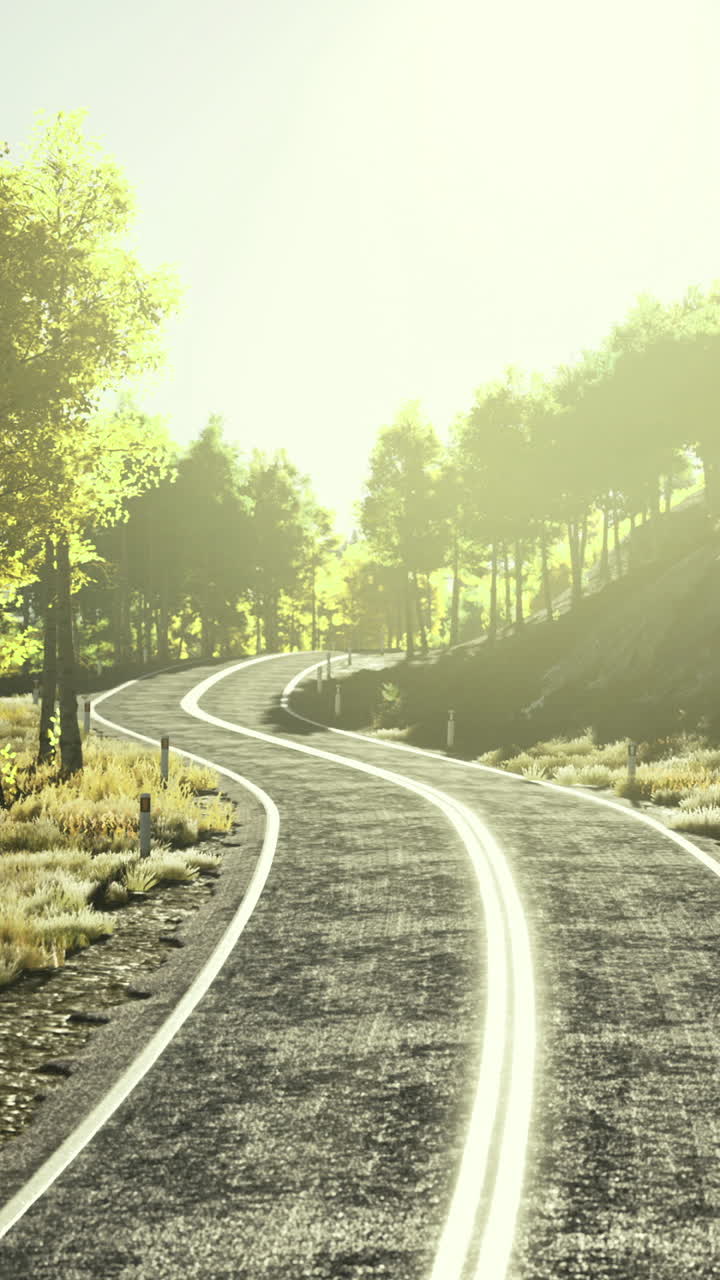 Serene winding road through a sunlit forest landscape at dawn