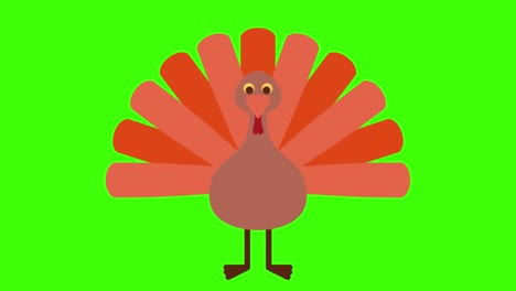 green screen , party icon , turkey