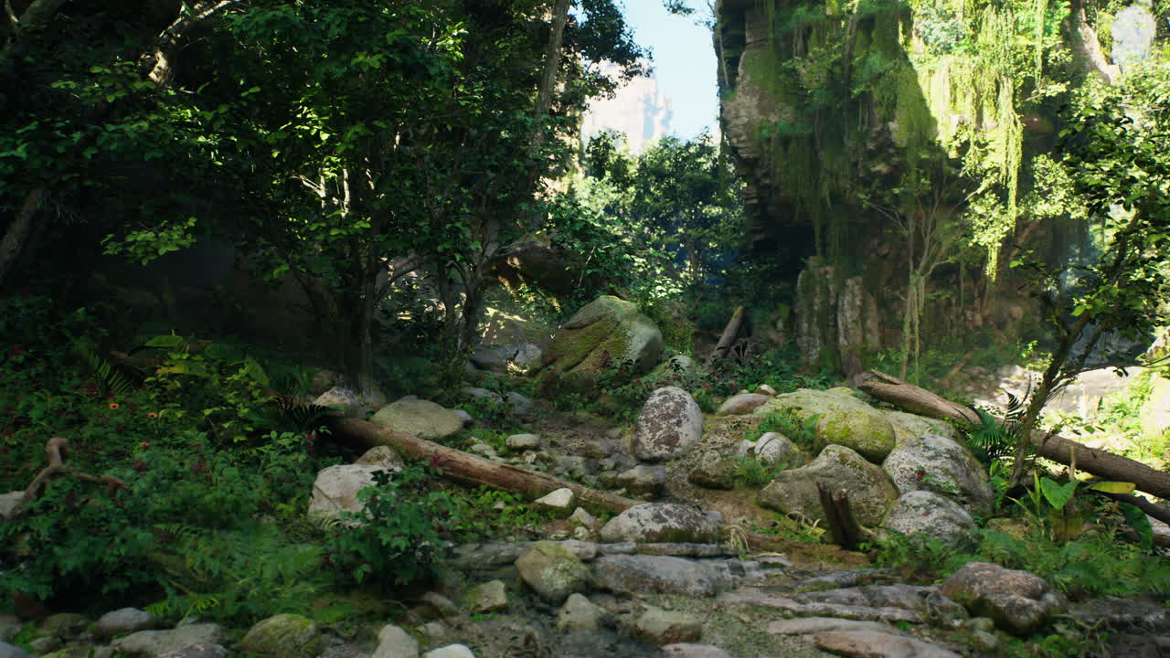 숲을 가로지르는 바위길