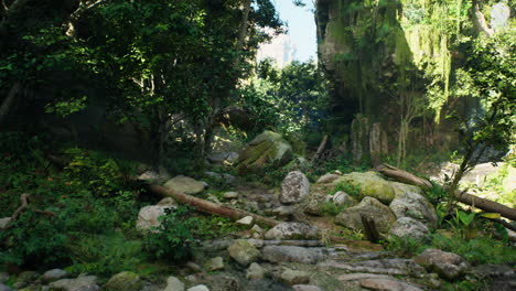 camino rocoso que atraviesa el bosque