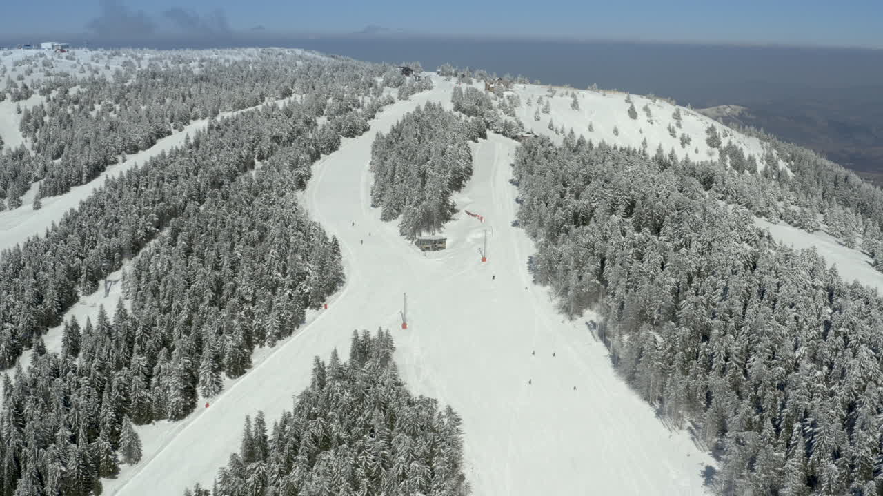 Aerial View of a Snowy Ski Resort with Pine Forests